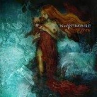 Novembre - Ursa