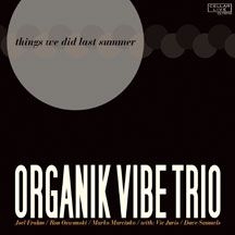 Organik Vibe Trio - Things We Did Last Summer