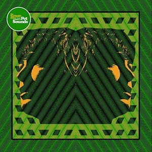 Reverberation Appreciation Society - Tribute To Beach Boys