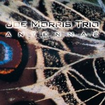 Morris Joe (Trio) - Antennae in the group CD / Jazz/Blues at Bengans Skivbutik AB (1916317)