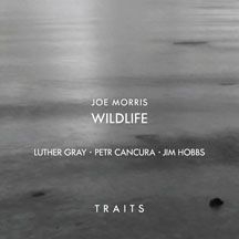 Morris Joe / Wildlife - Traits