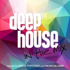 Various Artists - Deep House In The Mix in the group CD / Dance-Techno,Pop-Rock at Bengans Skivbutik AB (1916574)