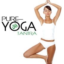 Blandade Artister - Pure Yoga Tantra