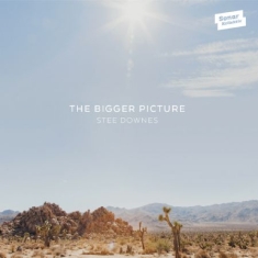 Stee Downes - Bigger Picture