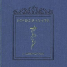 Astronautalis - Pomegranate