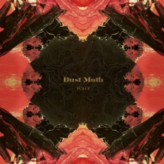 Dust Moth - Scale