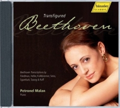 Various - Transfigured Beethoven