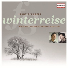 Schubert - Winterreise