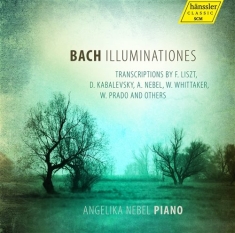 Bach Johann Sebastian - Illuminationes