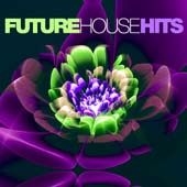 Blandade Artister - Future House Hits