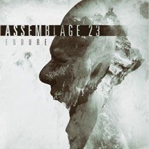 Assemblage 23 - Endure in the group CD / Rock at Bengans Skivbutik AB (2060756)