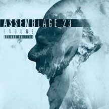 Assemblage 23 - Endure [deluxe Edition]