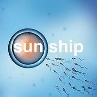 Brian Jonestown Massacre - Sun Ship (10