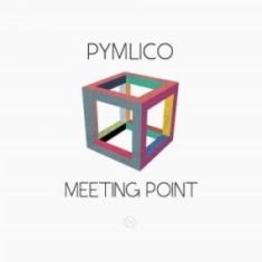 Pymlico - Meeting Point