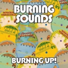 Blandade Artister - Burning Up! (4 Cd)