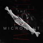 Micronaut - Forms in the group VINYL / Dans/Techno at Bengans Skivbutik AB (2169052)