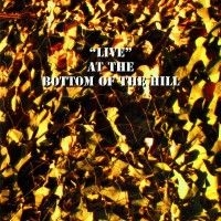 Blandade Artister - Live At The Bottom Of The Hill