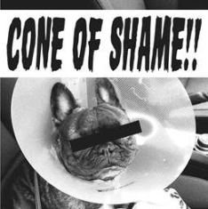 Faith No More - Cone Of Shame (Clear Vinyl) in the group VINYL / Rock at Bengans Skivbutik AB (2255674)