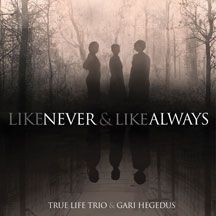 True Life Trio & Gari Hegedus - Like Never & Like Always in the group VINYL / Elektroniskt at Bengans Skivbutik AB (2370077)