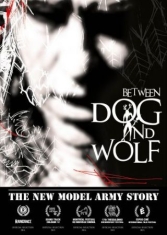 New Model Army - The New Model Army Story: Between W