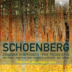 Matteo Fossi Marco Gaggini - Chamber Symphonies & Five Pieces Op