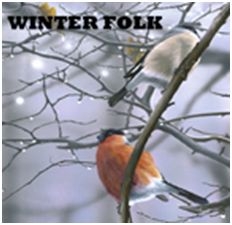 Blandade Artister - Winter Folk