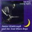 Kimbrough Junior - Sad Days Lonely Nights in the group VINYL / Jazz/Blues at Bengans Skivbutik AB (2403777)