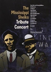 Blandade Artister - Mississippi Sheiks Tribute