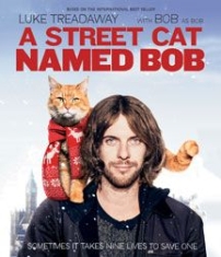 A Street Cat Named Bob - Film in the group MUSIK / Musik Blu-Ray / Film/Musikal at Bengans Skivbutik AB (2443817)