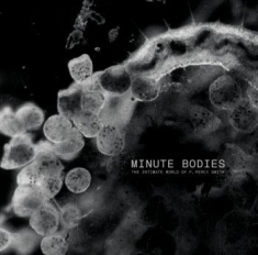 Tindersticks - Minute Bodies: The Intimate World of F. Percy Smith