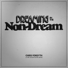 Chris Forsyth & The Solar Motel Ban - Dreaming In The Non-Dream