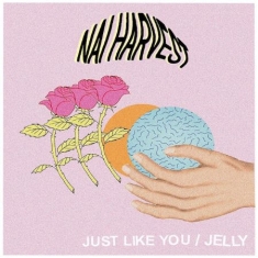 Nai Harvest - Just Like You -