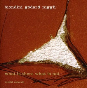 Biondini - Godard - Niggli - What Is There What Is Not