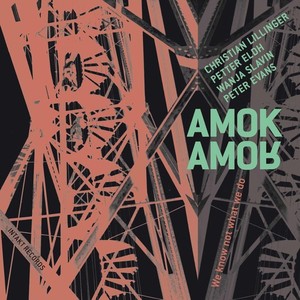 Amok Amor - We Know Not What We Do