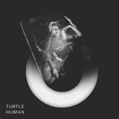 Turtle - Human