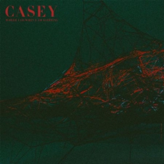 Casey - Where I Go When I Am Sleeping