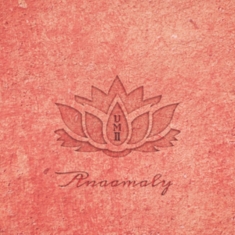 Anaamaly - Urban Metta Vol 2