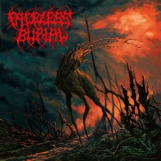 Faceless Burial - Grotesque Miscreation