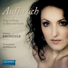 Brommer - Aufbruch