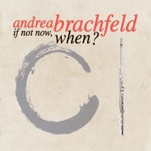 Brachfeld Andrea - If Not Now, When? in the group CD / Jazz/Blues at Bengans Skivbutik AB (3205295)