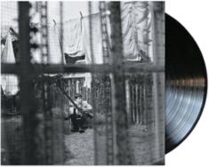 Paul McCartney - Chaos And Creation In The Backyard