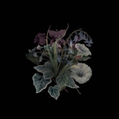 Nhor - Wildflowers (2 Lp Green Vinyl)