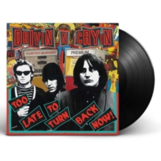 Drivin N Cryin - Too Late To Turn Back Now