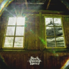 BLACK SWAMP WATER - DISTANT THUNDER