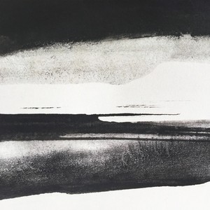 Silent Vigils - Fieldem