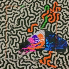 Animal Collective - Tangerine Reef (Coloured Vinyl)