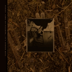 Pixies - C'mon Pilgrim - It's Surfer Rosa