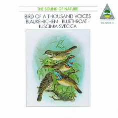 Natural Sound Recorded By Walter Ti - Bluethroat (Luscinia Svenica) - Bir