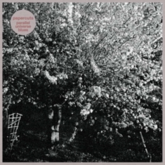 Papercuts - Parallel Universe Blues (White Viny