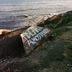 Fidlar - Almost Free